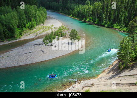 Les chevrons sur le milieu fork river le long de la frontière du parc national des Glaciers, près de Essex, Montana Banque D'Images