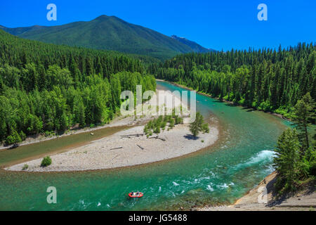 Les chevrons sur le milieu fork river le long de la frontière du parc national des Glaciers, près de Essex, Montana Banque D'Images