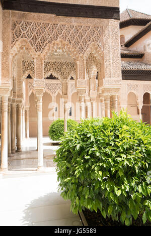 Entrée de la salle des Deux Soeurs (Sala de Dos Hermanas) au Palais de l'Alhambra et situé dans la forteresse, Grenade, Andalousie, espagne. Banque D'Images