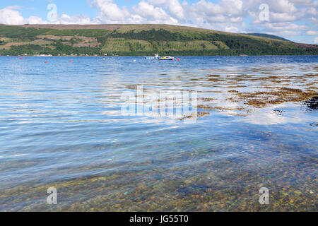 À la recherche sur le Loch Fyne, au sud d'Inveraray, Argyll and Bute, Ecosse Banque D'Images