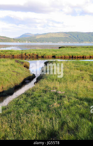 À la recherche sur le Loch Fyne, au sud d'Inveraray, Argyll and Bute, Ecosse Banque D'Images