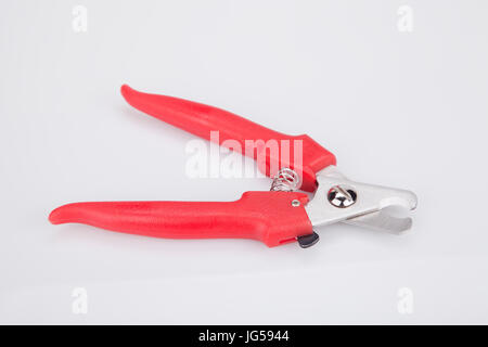 Une paire de red dog nail clipper sur une surface blanche. Ongles animal isolé sur fond blanc. Banque D'Images