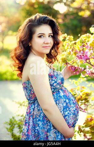 Portrait d'une belle tv fille enceinte dans une robe bleue, debout pensivement dans les bois parmi les arbres en fleurs Banque D'Images