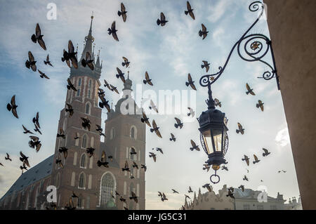 Église sur la place du marché de Cracovie, avec des oiseaux, la Pologne, l'Europe Banque D'Images