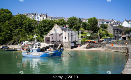 Le M149 chalutier mollusques ancré dans le port de New Quay, Ceredigion, pays de Galles, Royaume-Uni Banque D'Images