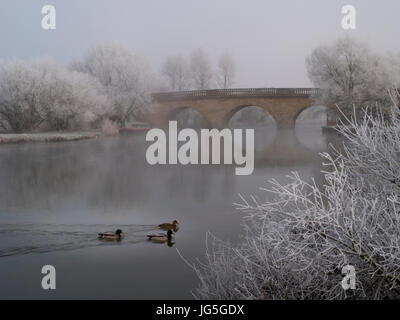 Pont dans une scène d'hiver gelé, Oxfordshire, UK Banque D'Images