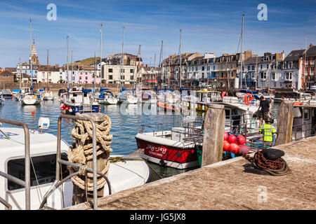 14 Juin 2017 : Ilfracombe, Devon, England, UK - Le port très animé et quai sur une chaude journée d'été. Banque D'Images