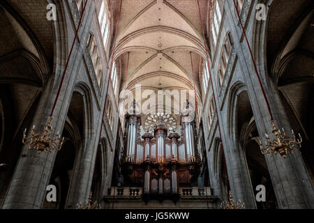 L'intérieur et de l'orgue de la cathédrale de condom médiévale, construit en 1506-31, du préservatif. France. Banque D'Images