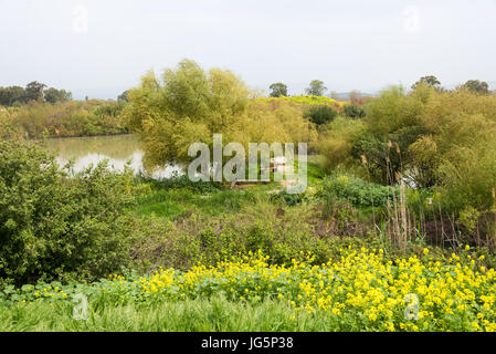 Visite de la réserve naturelle d'Ein Afek, Israël Banque D'Images