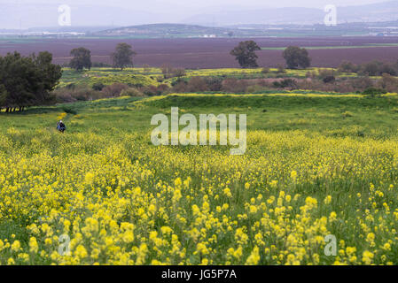 Visite de la réserve naturelle d'Ein Afek, Israël Banque D'Images