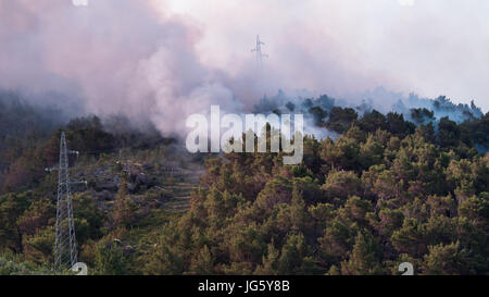 Feu de forêt de pins avec beaucoup de fumée au lever du soleil Banque D'Images