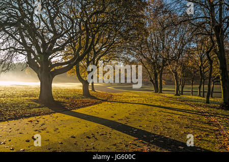 Un lever du soleil en automne long Casting Shadows Banque D'Images