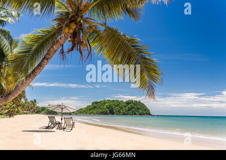 Belle plage de sable tropicale avec palmiers et chaises longues Banque D'Images