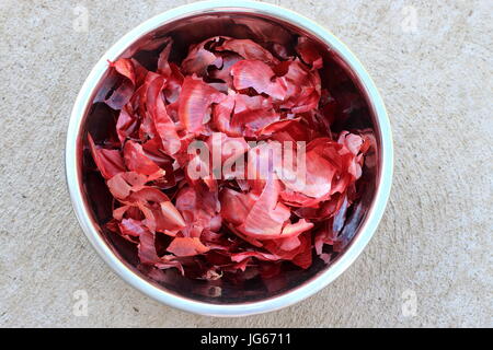 Pelures d'oignons rouges Banque D'Images