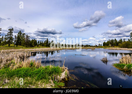 Turnbull National Wildlife Reflections. Banque D'Images