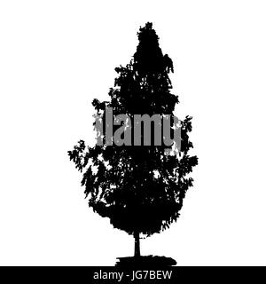 Le noir et blanc Silhouette d'arbre à feuilles caduques, dont les branches se développent dans le vent. Vector Illustration. EPS10 Illustration de Vecteur