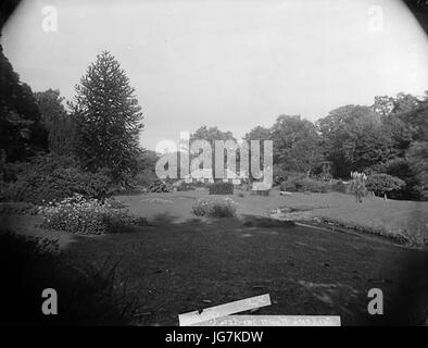 Le jardin de fleurs de Plas-coed coch Betws-yn Rhos-NLW3361136 Banque D'Images