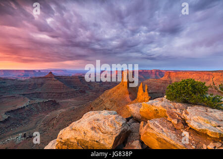 Le point de vue du lever, à Marlboro Canyonlands National Park, Utah, USA Banque D'Images