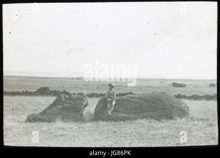 Vue d'un moai allongé sur le sol3B un homme est debout sur la gauche de la sculpture pour l'échelle de sa main gauche, toucher la pierre3B à l'extérieur de Rano Raraku BCG.T.1464 Expédition Mana à l'île de Pâques Br 0013 Banque D'Images