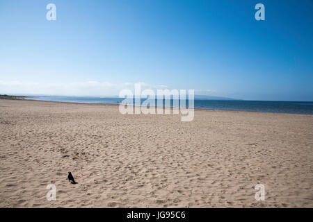 La plage de Troon à au sud vers Ayr et Brown Carrick Hill Ayrshire en Écosse Banque D'Images