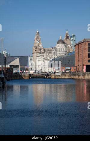 Royal Liver Building Liverpool vu de l'Albert Dock Banque D'Images