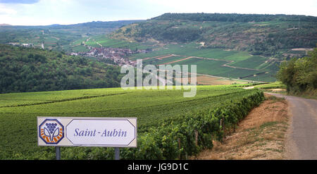 Saint-Aubin Bourgogne Paysage avec la viticulture boundary road sign en premier plan, la Côte d'Or, France. Banque D'Images