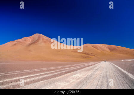 Cycliste solitaire voyageant par le biais de la partie du sud de l'Altiplano, Bolivie Banque D'Images