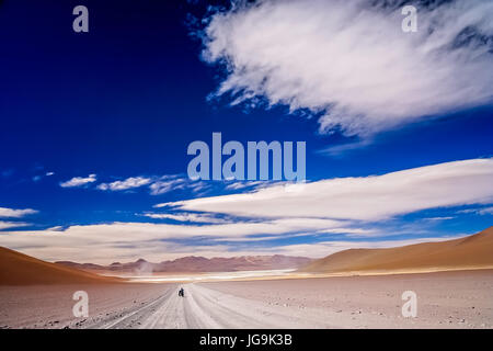 Cycliste solitaire voyageant par le biais de la partie du sud de l'Altiplano, Bolivie Banque D'Images