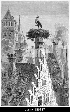 stork une jambe posant sur une grande cheminée nid entouré de maisons toits à Strasbourg soir, France. Art de style gravure antique par Lancelot, 1861 Banque D'Images