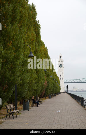 La ligne d'arbres le quai de l'horloge par le fleuve Saint-Laurent à Montréal, Canada. Les habitants connaissent la tour de l'horloge, la Tour de l'horloge. Banque D'Images