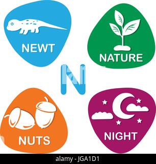Alphabet mignon dans le vector. Lettre N pour newt, nature, les écrous et la nuit. Illustration de Vecteur