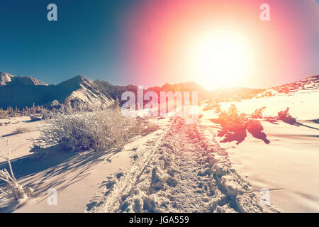 Paysage d'hiver avec coucher de soleil Banque D'Images