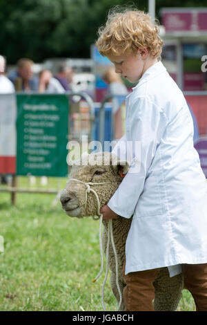 Ovis aries. Jeune garçon montrant un moutons Southdown Hanbury, country show à Worcestershire. UK Banque D'Images