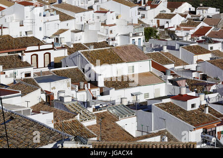 Toits des maisons blanches à Olvera, Andalousie, espagne. Banque D'Images