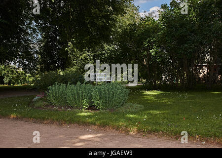 Après-midi d'été. Dans le parc les feuillus et les conifères fournissent de l'ombre. Les rayons de soleil traversant les feuilles. Sous les arbres il y a banc Banque D'Images