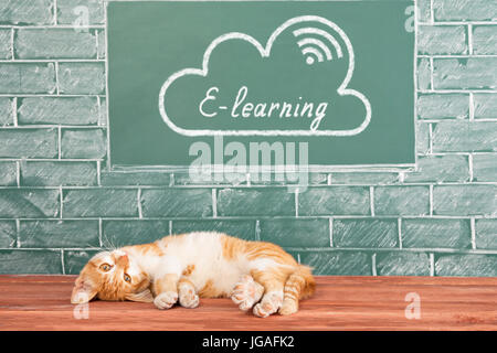 E-Learning education concept avec cat. Les connaissances scientifiques, à la disposition de tous, même au lit Banque D'Images