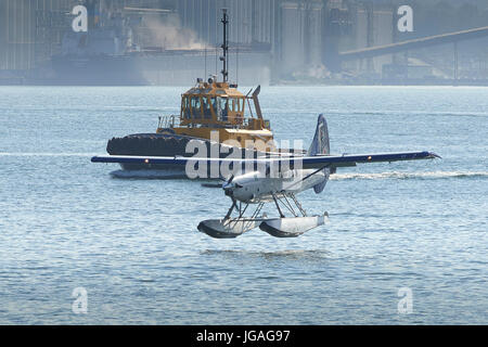 Harbour Air Seaplanes hydravion Turbo Otter dans les Royals de Victoria livrée, l'atterrissage dans le port de Vancouver, Colombie-Britannique, Canada. Banque D'Images