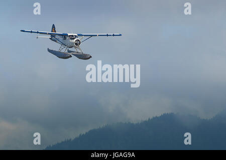 L'emblématique Harbour Air Seaplanes de Havilland Canada DHC-2 Beaver forrest volant à basse altitude au-dessus des terres boisées de la Colombie-Britannique, Canada. Banque D'Images