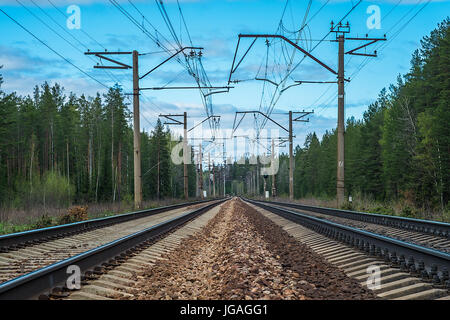 Railroad track serpentant à travers forêt Banque D'Images