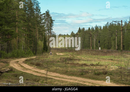 Un jeune homme marche dans un vieux pays route à travers la forêt de pins verts. Banque D'Images