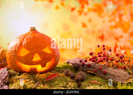 Jack O'Lantern dans un automne nature nature morte en pleine lumière avec l'exemplaire de l'espace. Banque D'Images