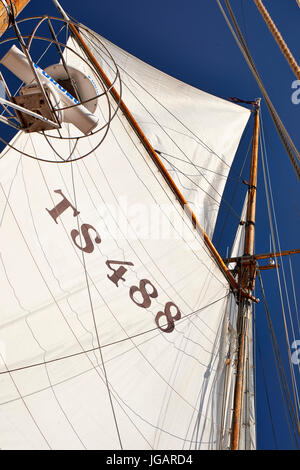 Astrid (Finlande) TS 488 Gaff Schooner à voile en bois 1947 - vue de la grand voile et voile haut looking up contre le ciel Banque D'Images