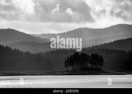 Petite île naturelle de pins et Misty Mountain en couches de fond avec les nuages dynamique en noir et blanc Banque D'Images