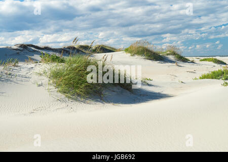 Outer Banks de dunes de sable et d'herbe le long de la côte de Caroline du Nord. Banque D'Images