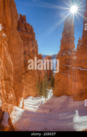 L'hiver le long de la piste des Navajos à Bryce Canyon National Park, Utah Banque D'Images