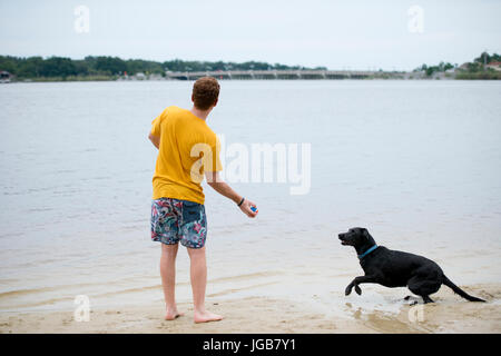 Chien Labrador noir attendait sur le rivage pour son propriétaire à lancer une balle pour elle d'aller chercher Banque D'Images