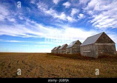 Rangée de vieilles granges sous grand ciel des Prairies Banque D'Images