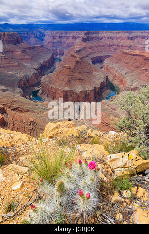 Tatahatso Point, avec vue sur le fleuve Colorado, le nord de l'Arizona, USA Banque D'Images