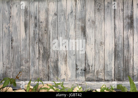 Cadre de porte en bois blanc avec des plantes et des pierres Banque D'Images