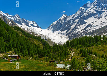 Vue depuis Fafleralp à la Lötschenlücke avec col de montagne glacier Langgletscher, Bslatn, Lötschental, Valais, Suisse Banque D'Images